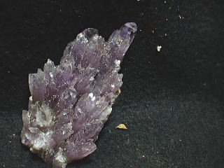 小松・紫水晶