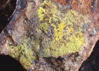 方硫カドミウム鉱